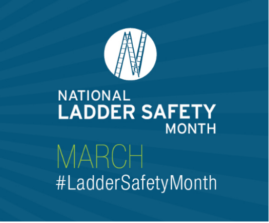 Read more about the article March is National Ladder Safety Month